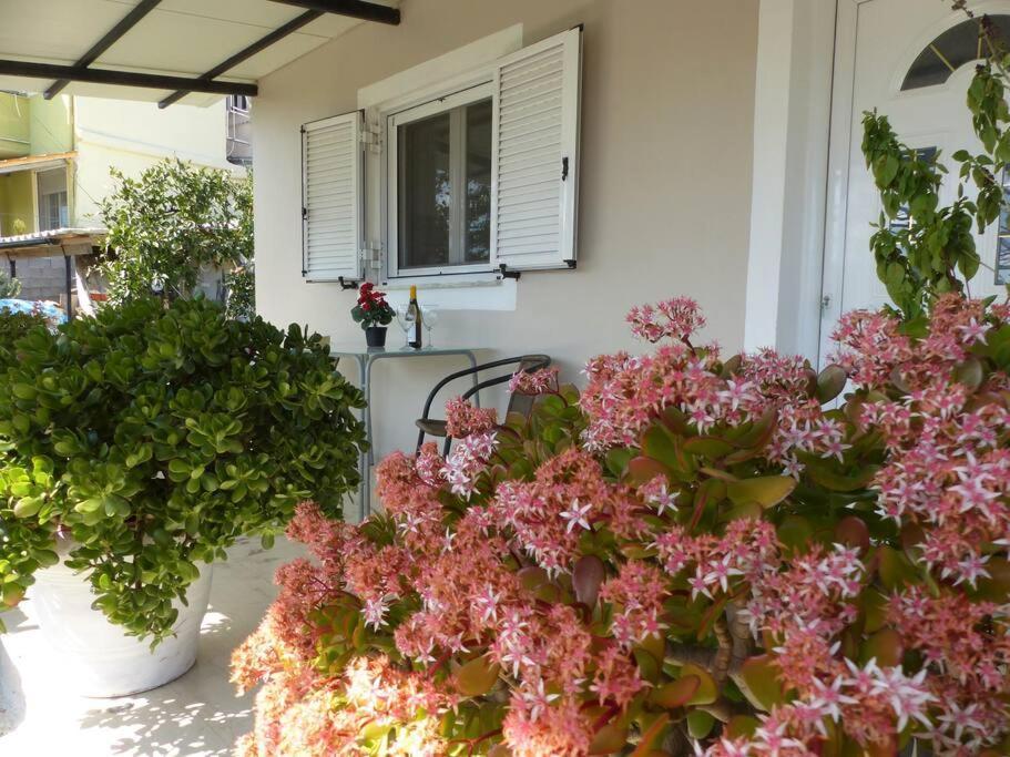Michaels Flower House Kanali  Exterior photo
